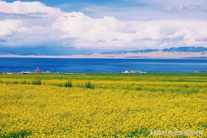 游全记录：附行程攻略 真实旅途分享澳门新葡京入口9 月青甘大环线 日(图4)